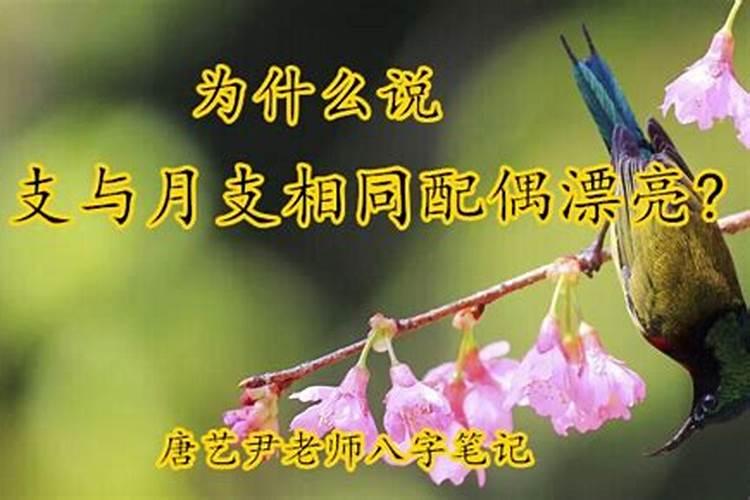 八字月支和日支一样,是夫妻宫伏吟吗,对婚姻有啥影响