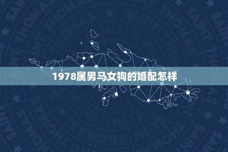 属鼠男和属马女的婚姻怎么样 是否幸福