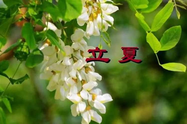 办公桌上摆什么招财又防小人