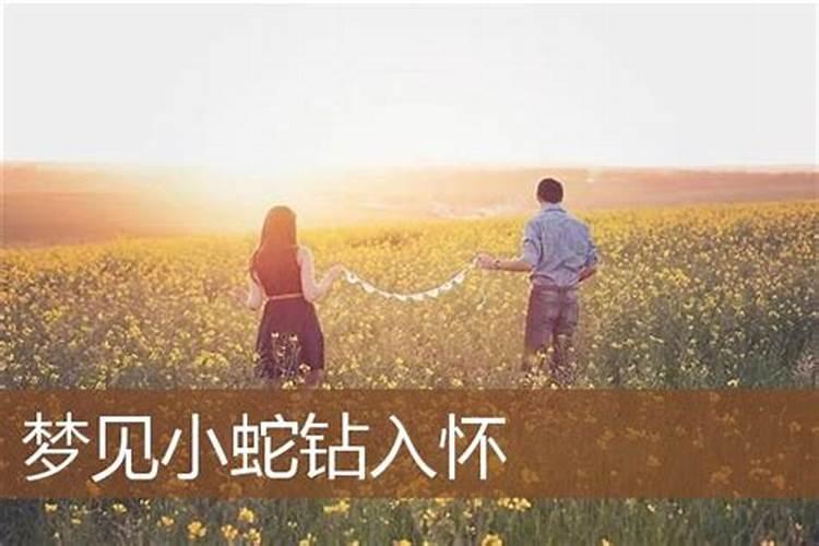 冬至吃水饺还是吃馄饨？