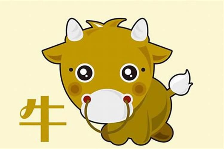 属牛七月出生命运如何
