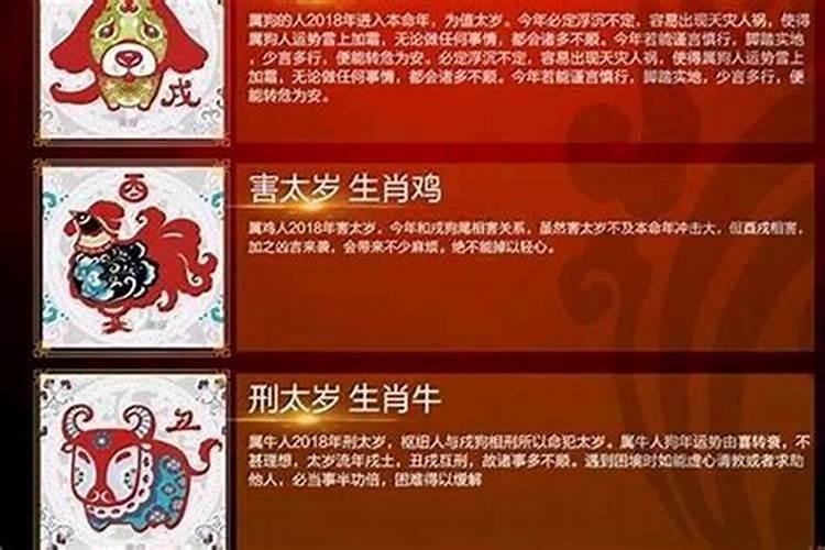 马和龙相克还是相冲