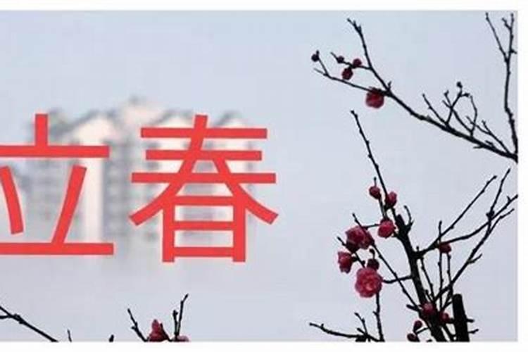 今天立春几号几点2024年