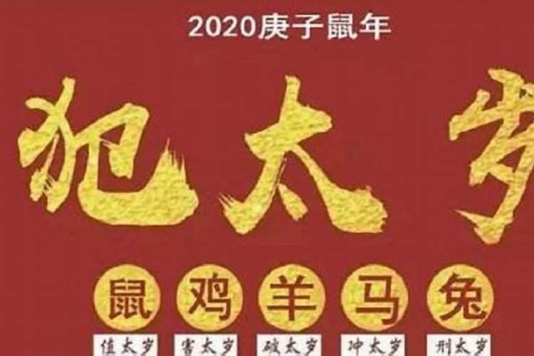 如何网上祭扫亲人