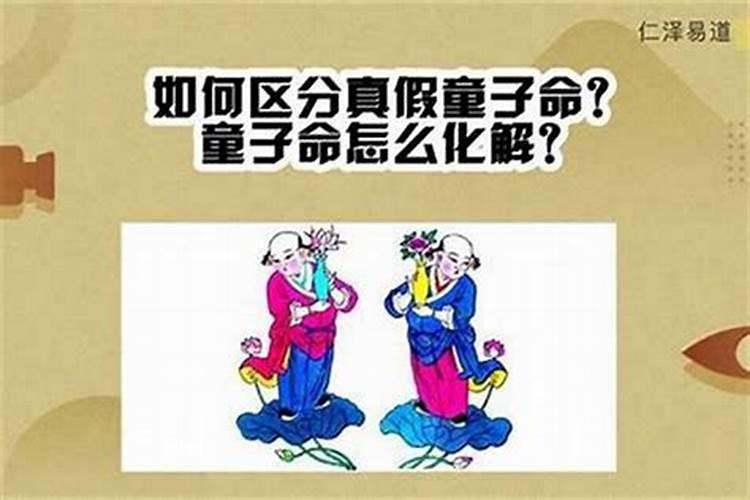 属狗2025年运势详解