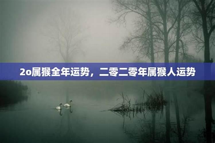 73年属牛2025全年运势如何