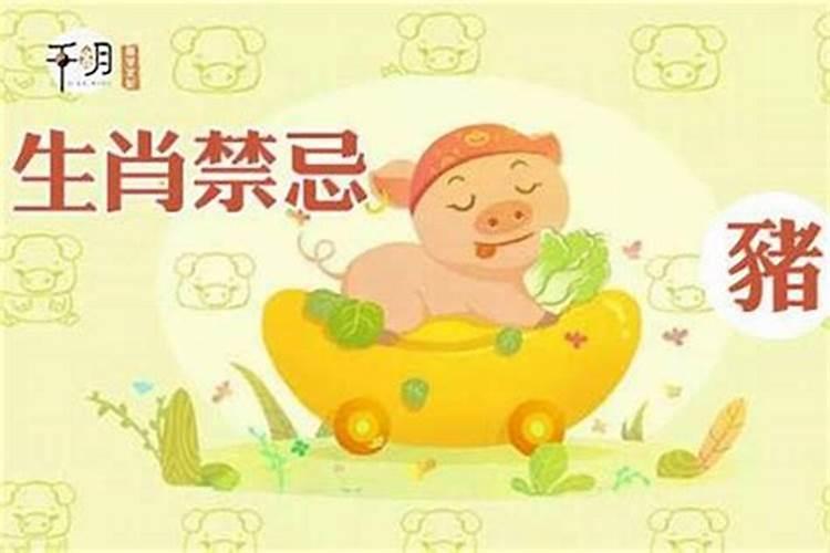 三月份属猪命运如何