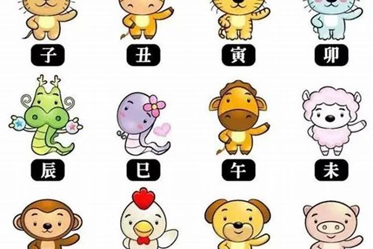 运势差的面相特征解析