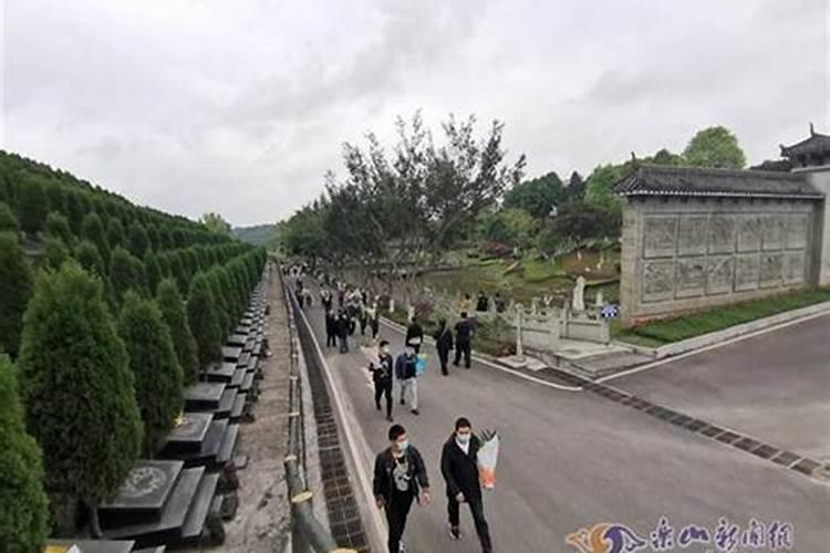 93岁老兵去仙乐山为战友扫墓,你如何看待这样的战友情？