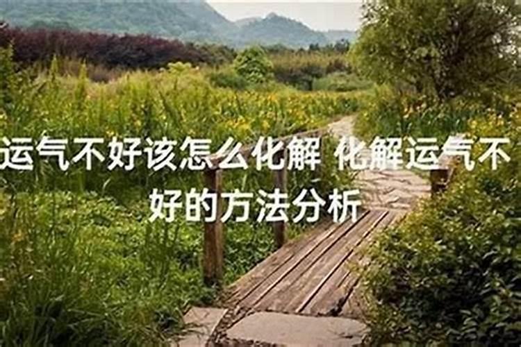 九月初九是什么节日？