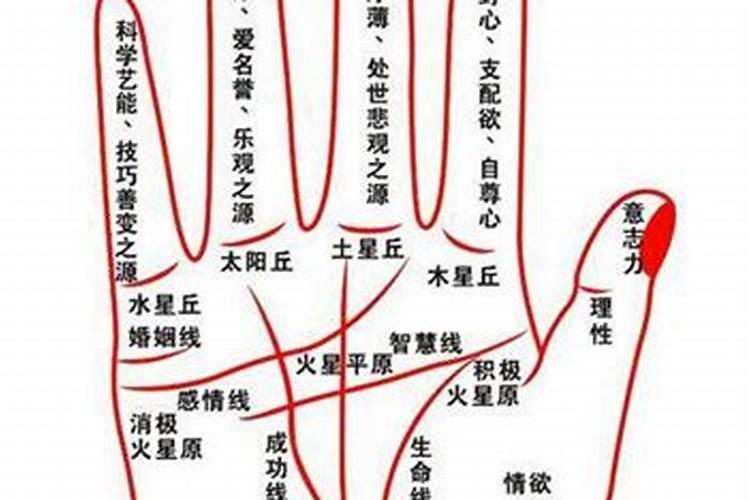 后半生必定发财的东西 晚年财源滚滚的手相
