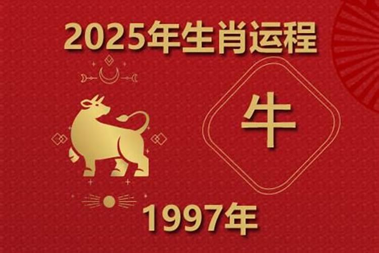 大师详解:属牛2023年全年运势运程及每月运程？