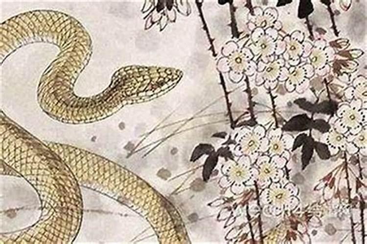 蛇和蛇婚配情况如何