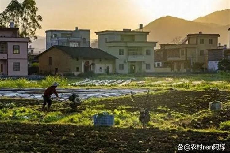 清明节能在寺庙里给亡人烧纸吗？
