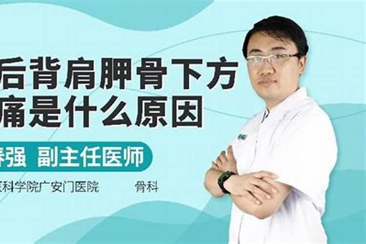 人体肚脐上面八字骨中心是什么器官？