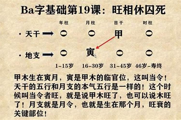 厦门有什么好吃的？