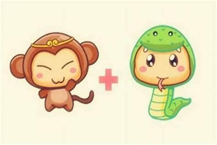 属蛇的和属猴的能结婚吗？婚姻顺利吗？