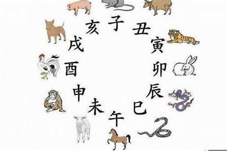 羊虎属相合不合