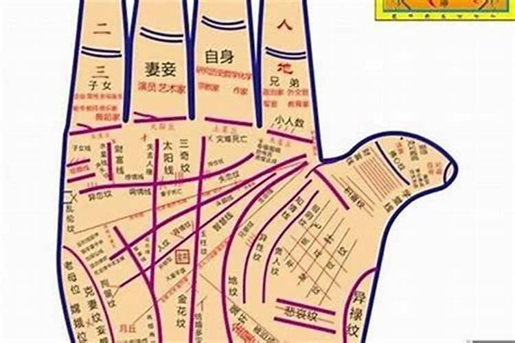 83年和74年合得来吗 1983年属猪人2024财运