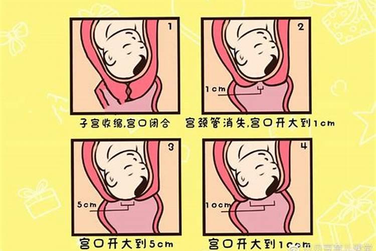 八字怎么看顺产还是剖腹产