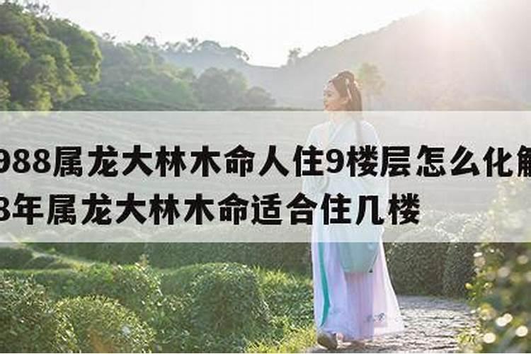 1988年是什么命88属龙的一生命运状况
