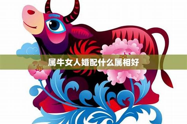 梦见弟弟突然不见了