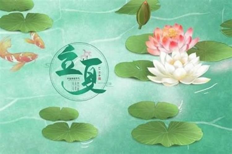 95年属猪的和什么属相犯冲