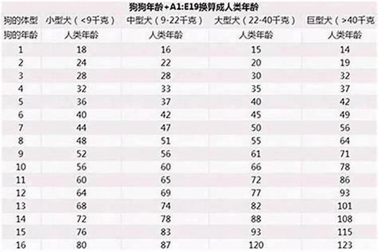 潮汕提亲订婚风俗