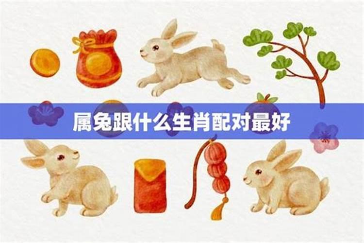属兔和什么属相最不合,属兔的人和什么属相相克