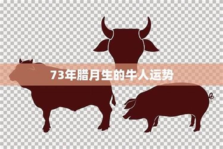 农历腊月十五出生的男孩缺什么取名如何补木水