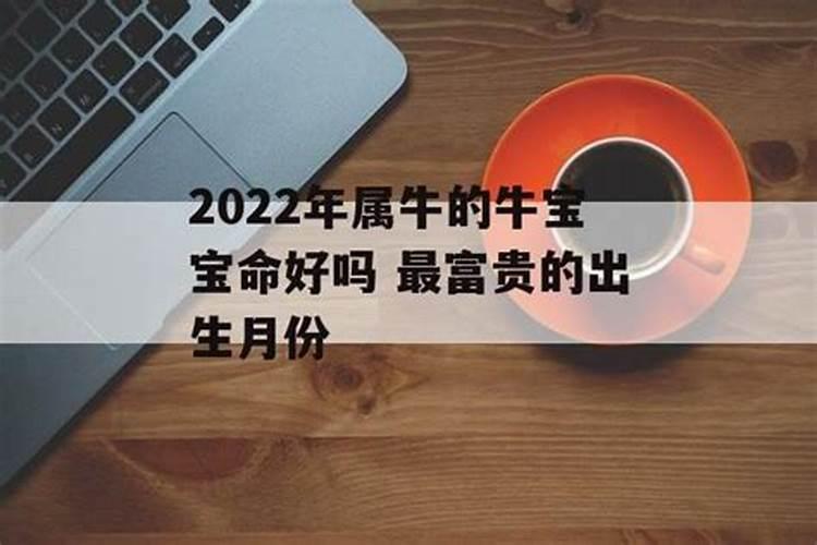 属牛的几月出生好