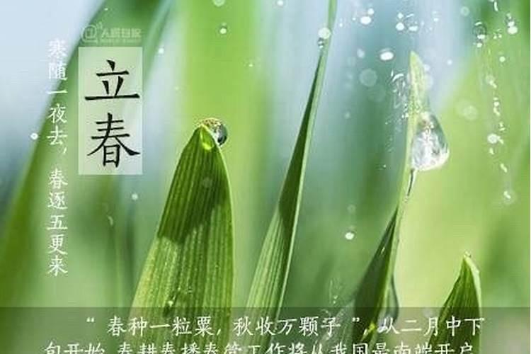 立春出生的孩子好吗 不同时间段的宝宝命运如何？