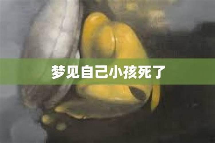 梦见女人生的孩子死去的预兆