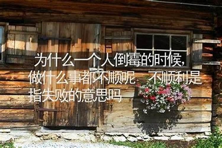 属马人哪一年犯太岁最严重,各方面运势如何