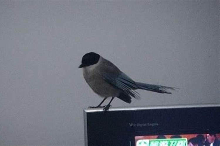 生辰八字五行怎么看