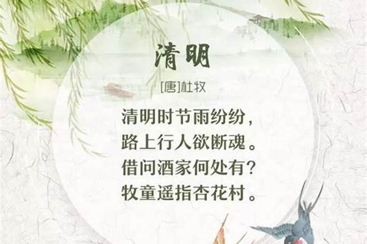 清明是哪个季节的二十四节气