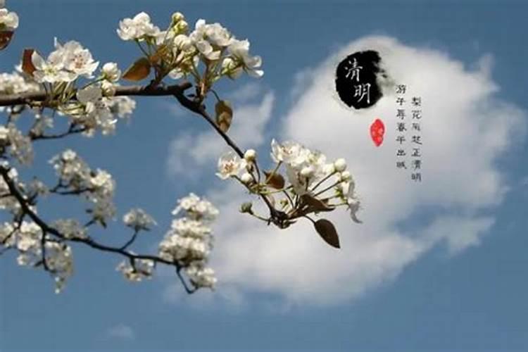 66年属马人2025年全年运势