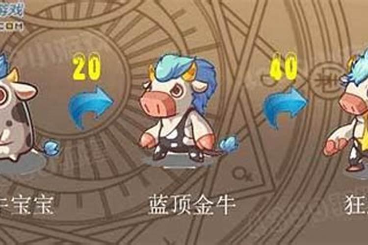 金牛几月出生命好 2021年金牛几月出生命好
