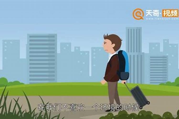 属虎犯太岁的年份