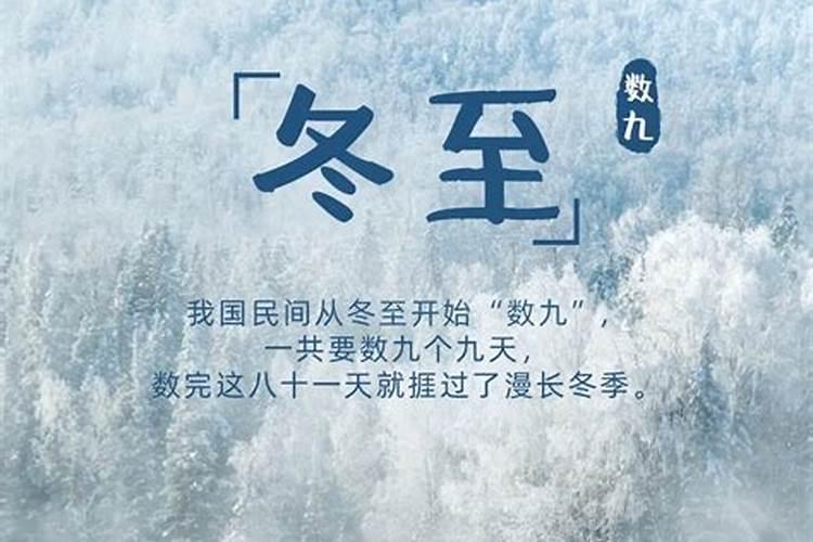 一年最冷的是哪几天