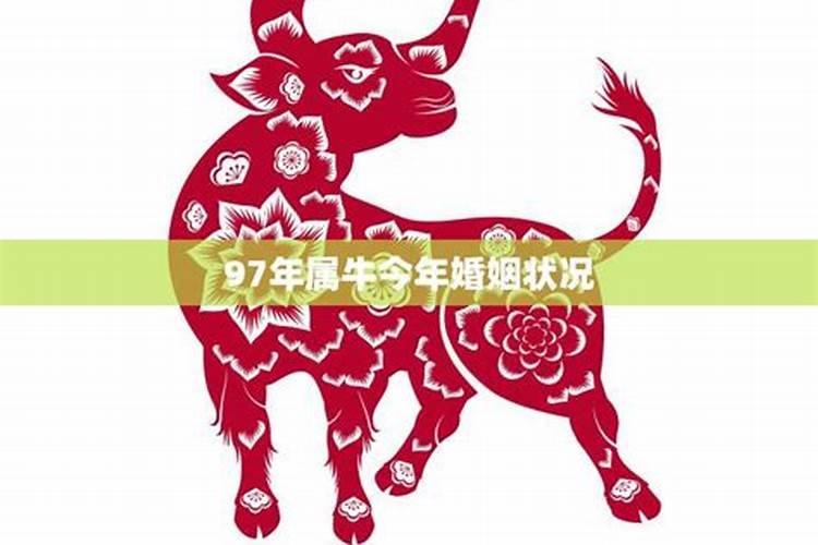 颇具地方特色,青岛财神节的节日活动？
