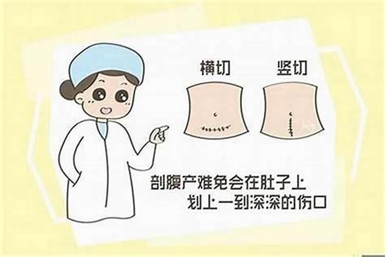 如何根据出生日期查生辰八字