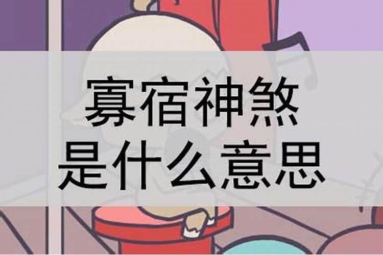 生肖鼠2025年运势 属鼠2025年运势及运程