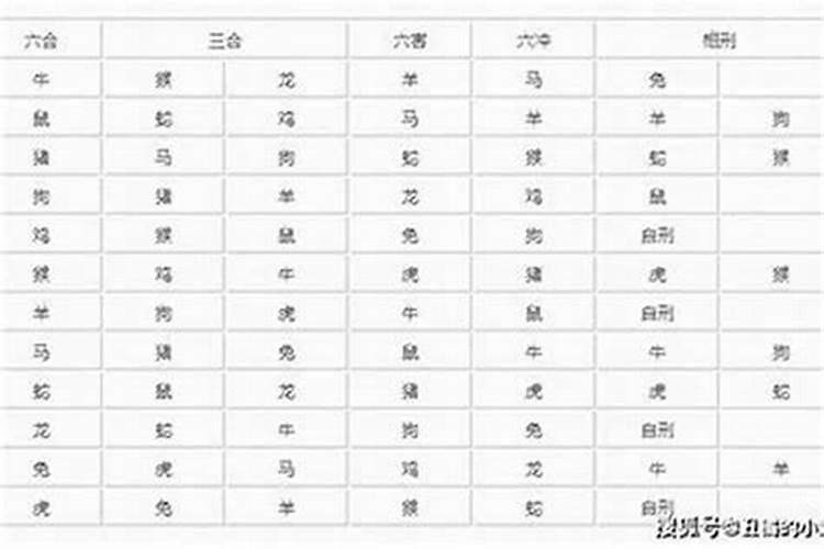 怎么看父母和孩子八字合不合,怎么查俩人八字合不合