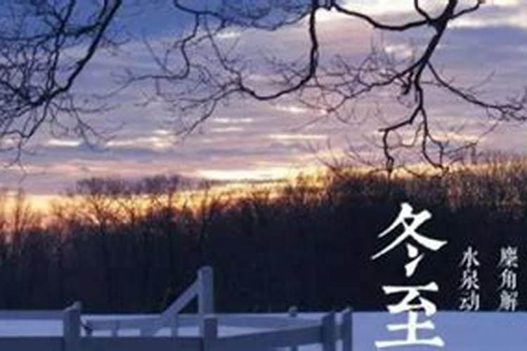 七月十五上坟供品带什么