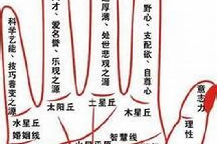 属狗的今年犯太岁怎么化解