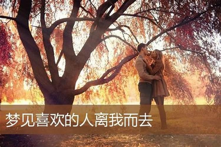 1977蛇女2025每月运程