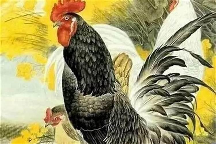 81年属鸡最难的几年