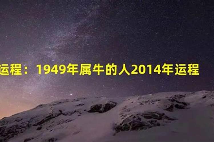 1949年属牛什么命 属牛1949年出生命运？