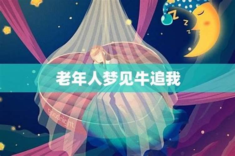 万年历表查询1952年是兔年吗？